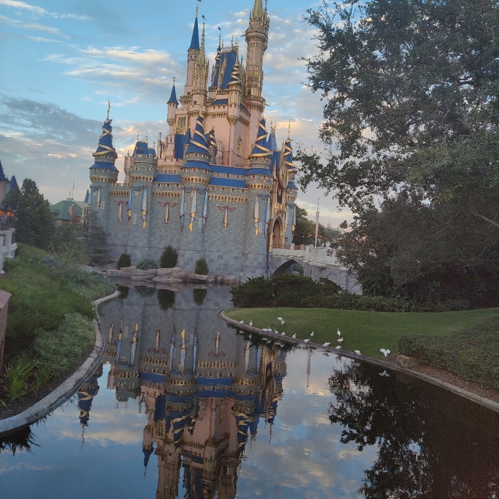 Meet your Posher, Crys